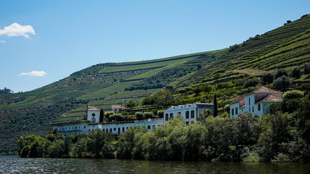 Vallée du Douro — vignobles portugais en terrasses