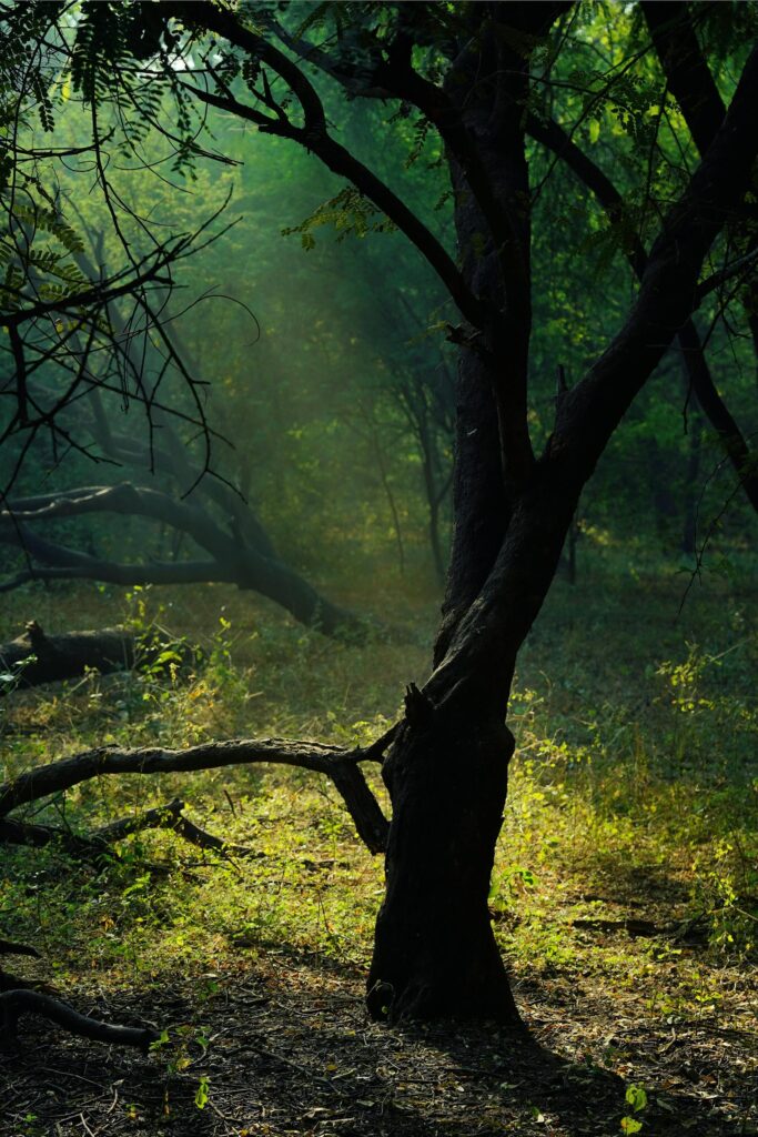 Voyage sur-mesure aux Açores